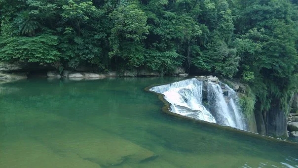 梦见明星给我签名是什么意思?